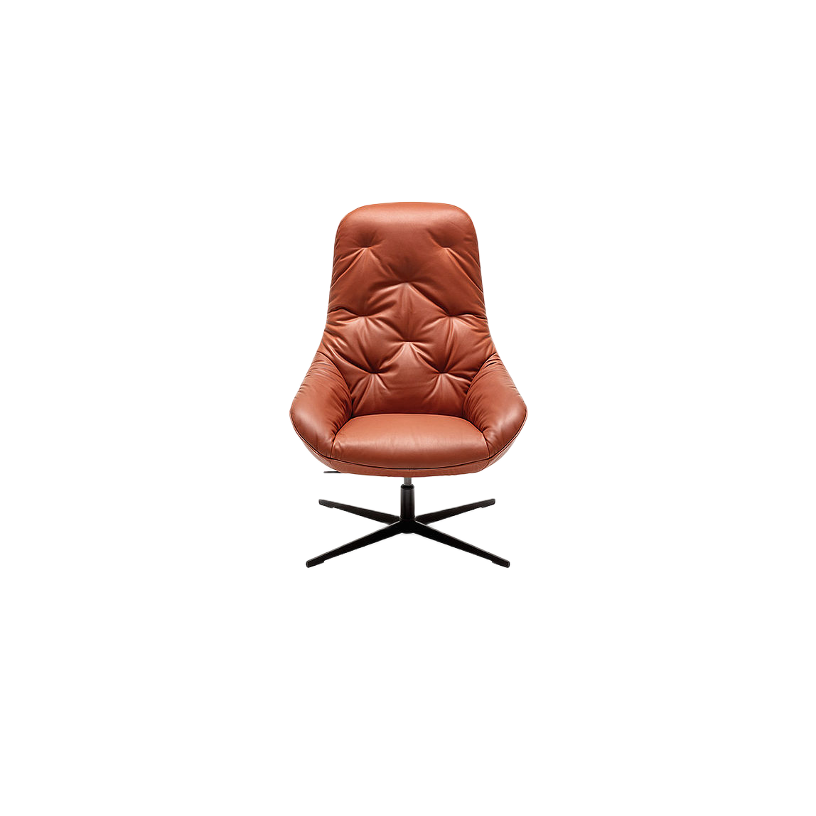 Lucera Designo – Arm Chair | Model AC-113