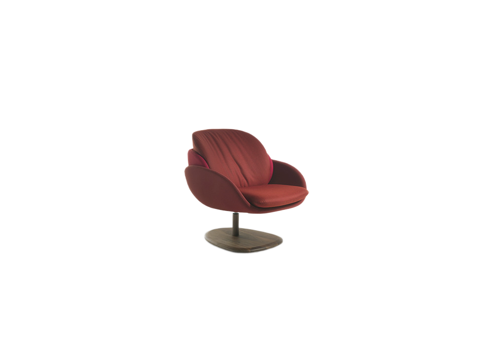 Lucera Designo – Arm Chair | Model AC-025